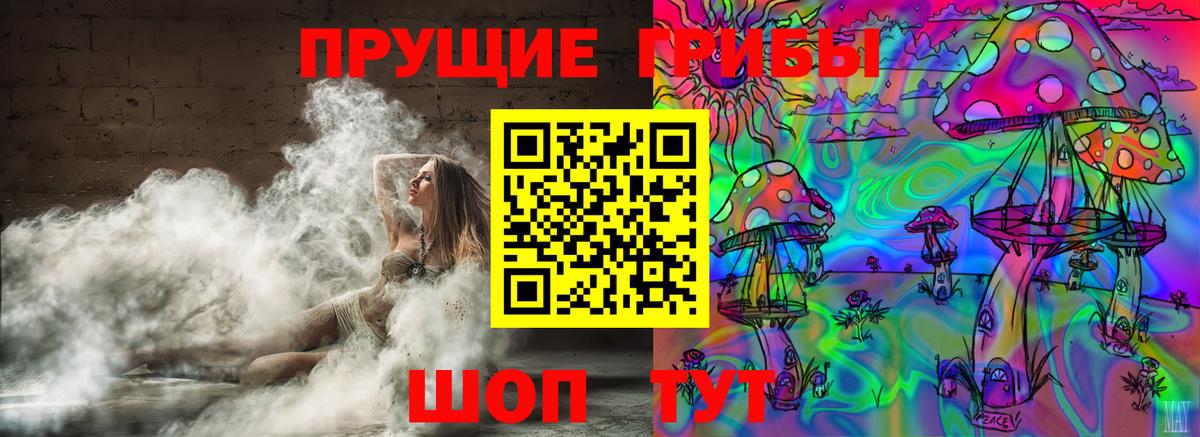 Галлюциногенные грибы MAGIC MUSHROOMS  Галлюциногенные грибы Psilocybine cubensis  Протвино  Вход с VPN 
